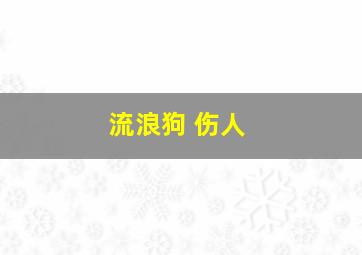 流浪狗 伤人